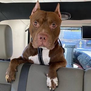 Meet your Posher, Christian